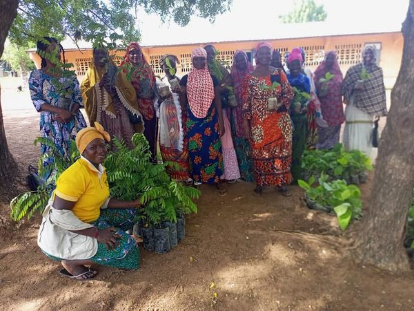 449435931_425921573761715_4654227155662098944_n L'association Appui aux enfants (AFE) a procédé à une activité de reboisement ce 18 juillet 2024